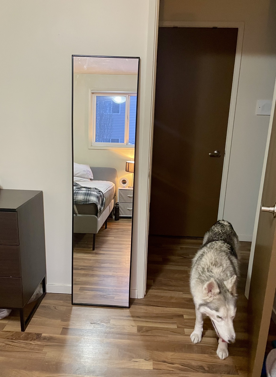 Standing Mirror