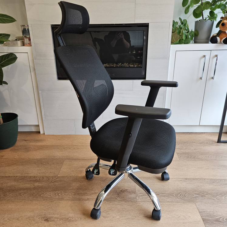 Sihoo M56 Ergonomics Office Chair
