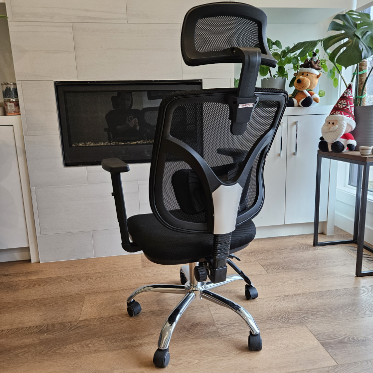 Sihoo M56 Ergonomics Office Chair - photo 2