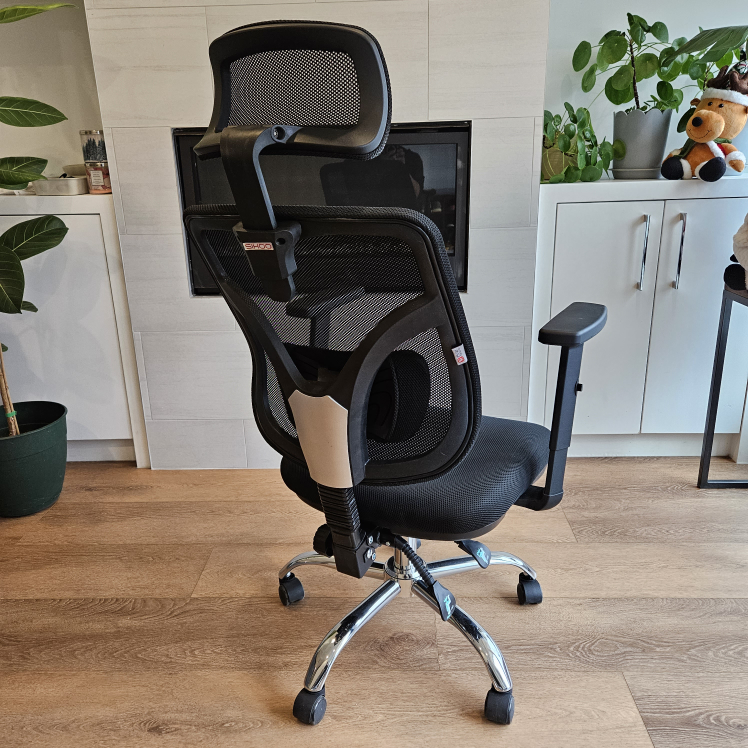 Sihoo M56 Ergonomics Office Chair - photo 4