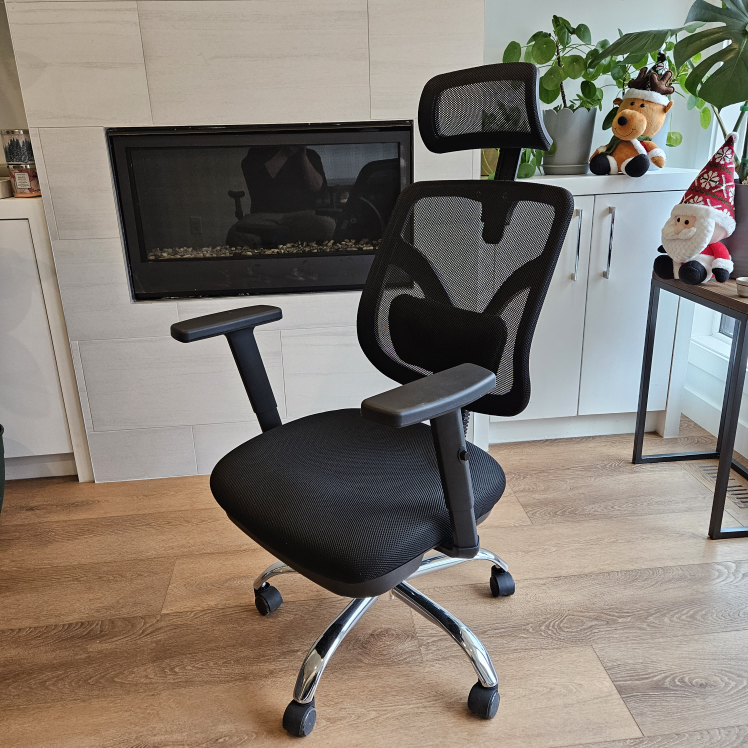 Sihoo M56 Ergonomics Office Chair - photo 5