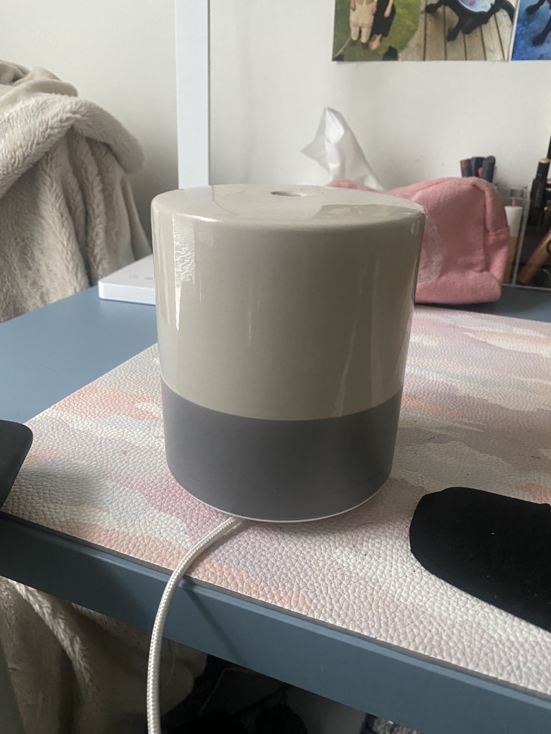 Sage diffuser 🥕
