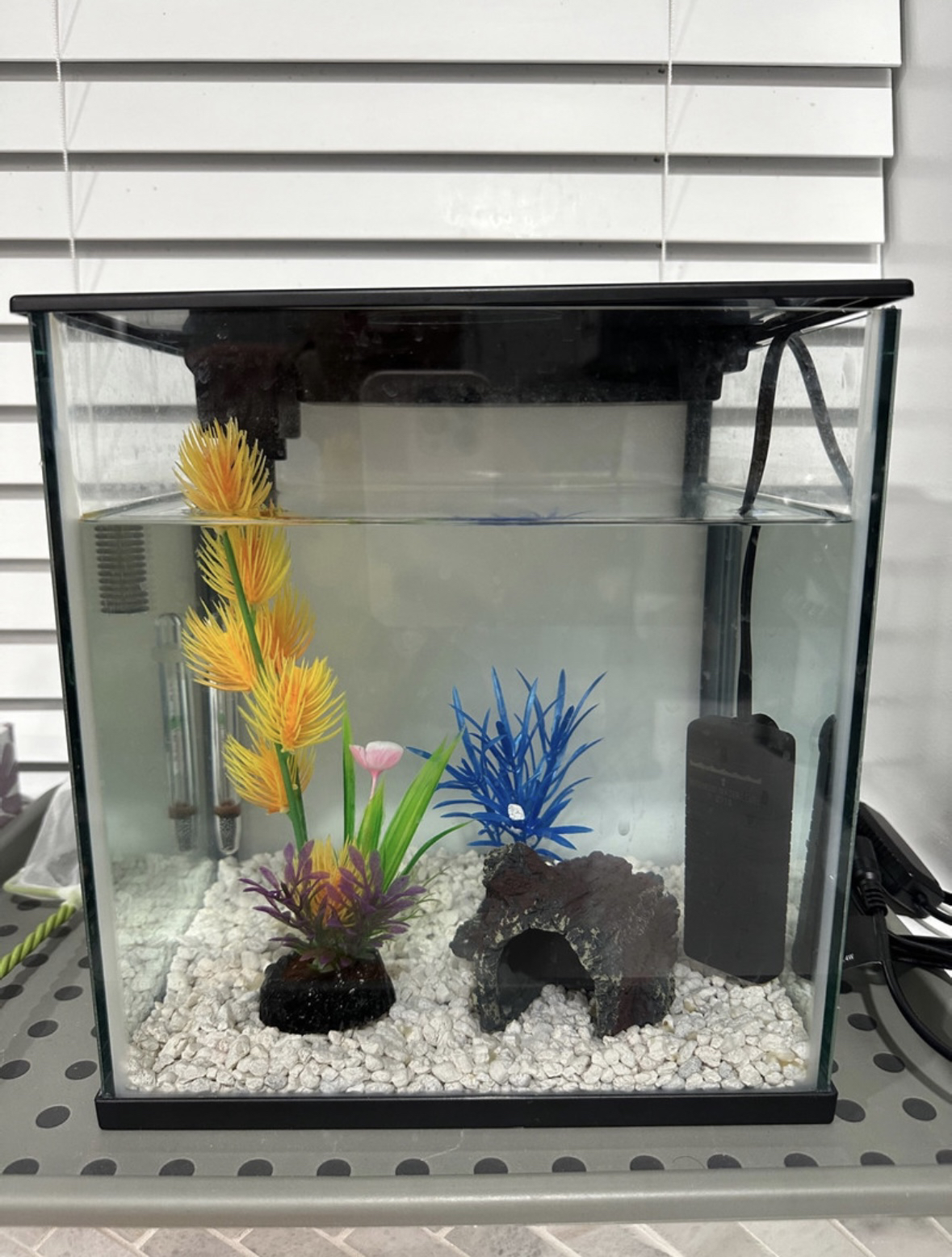 Fish Tank/Aquarium