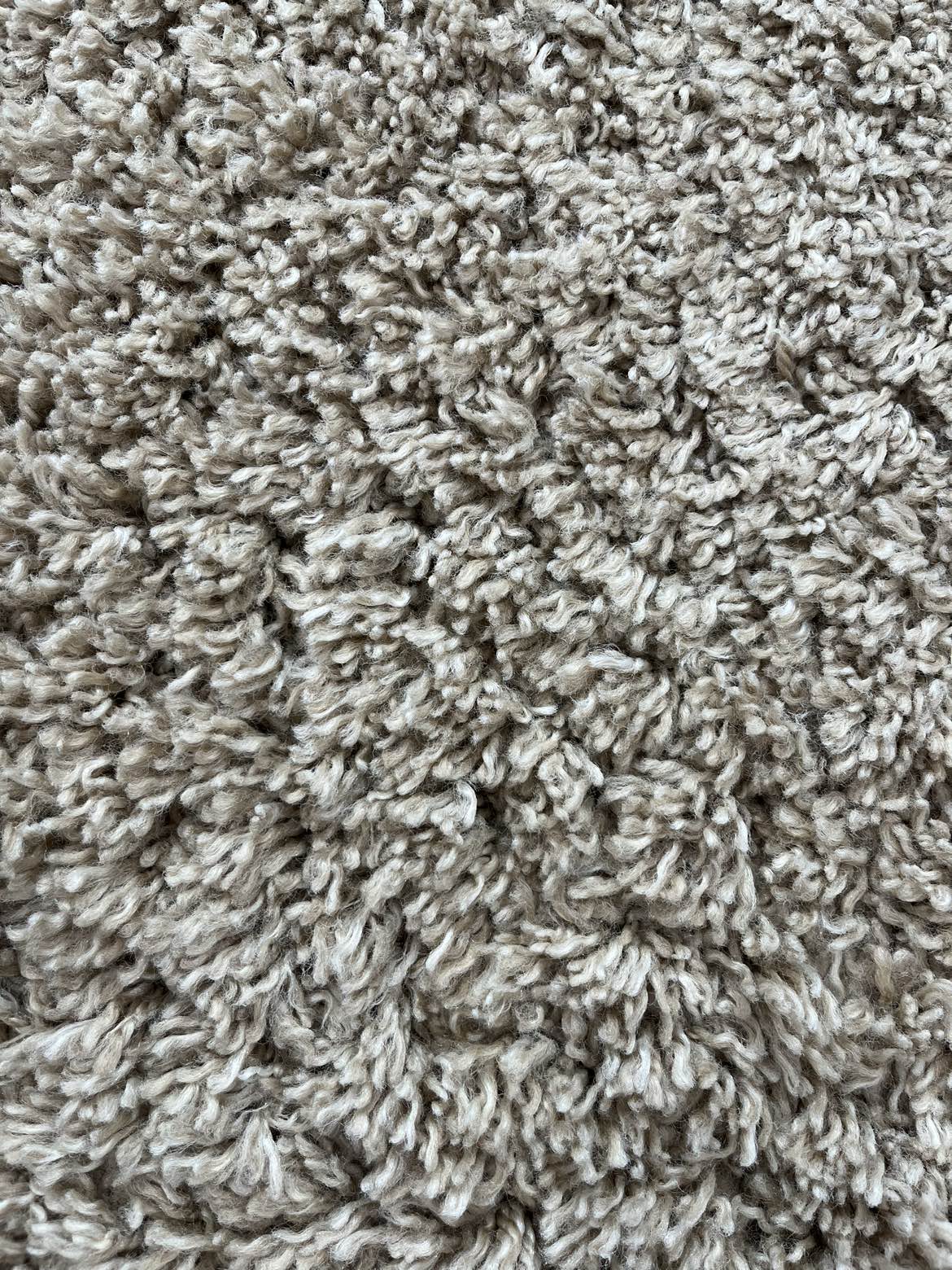 Shag Area rug - photo 2