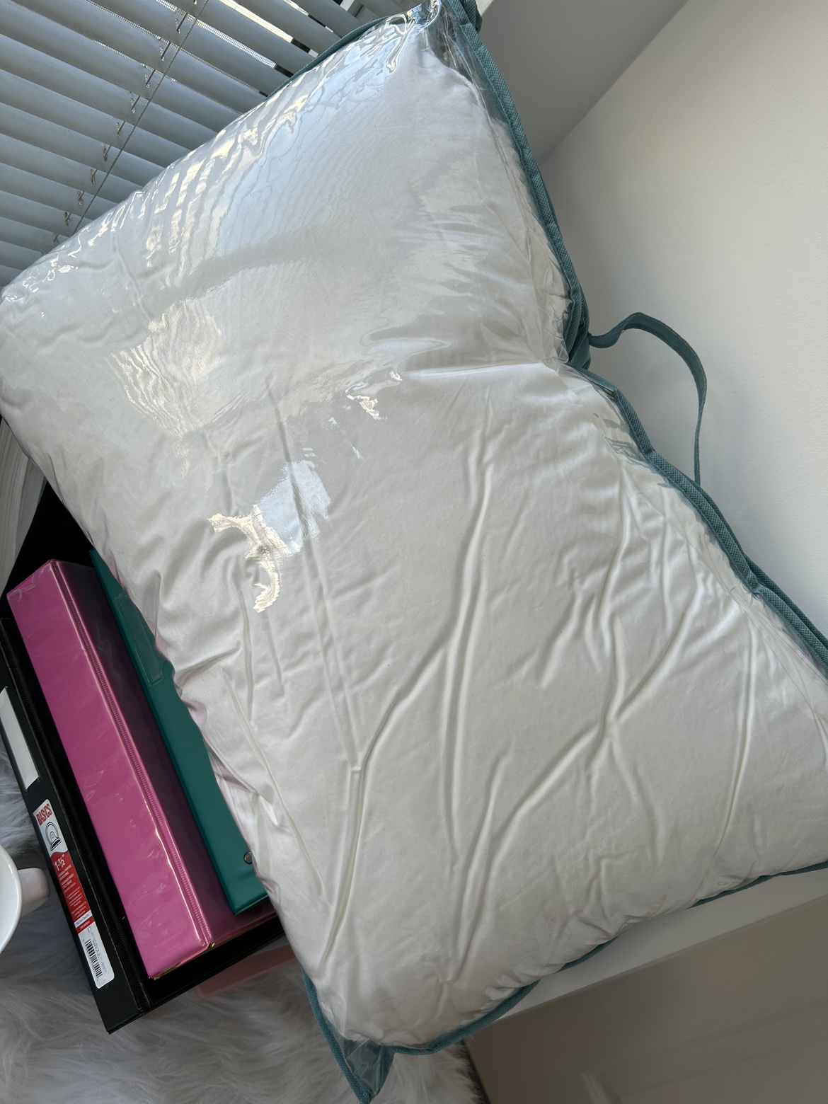 I Can't Believe This Isn't Down Pillow x2 thumbnail