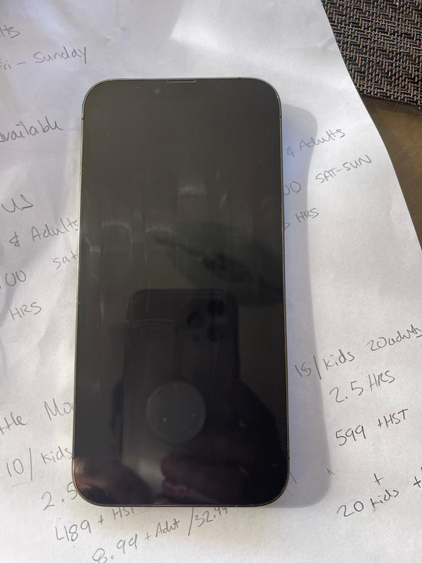 iPhone 13 Pro Max 256 - photo 2
