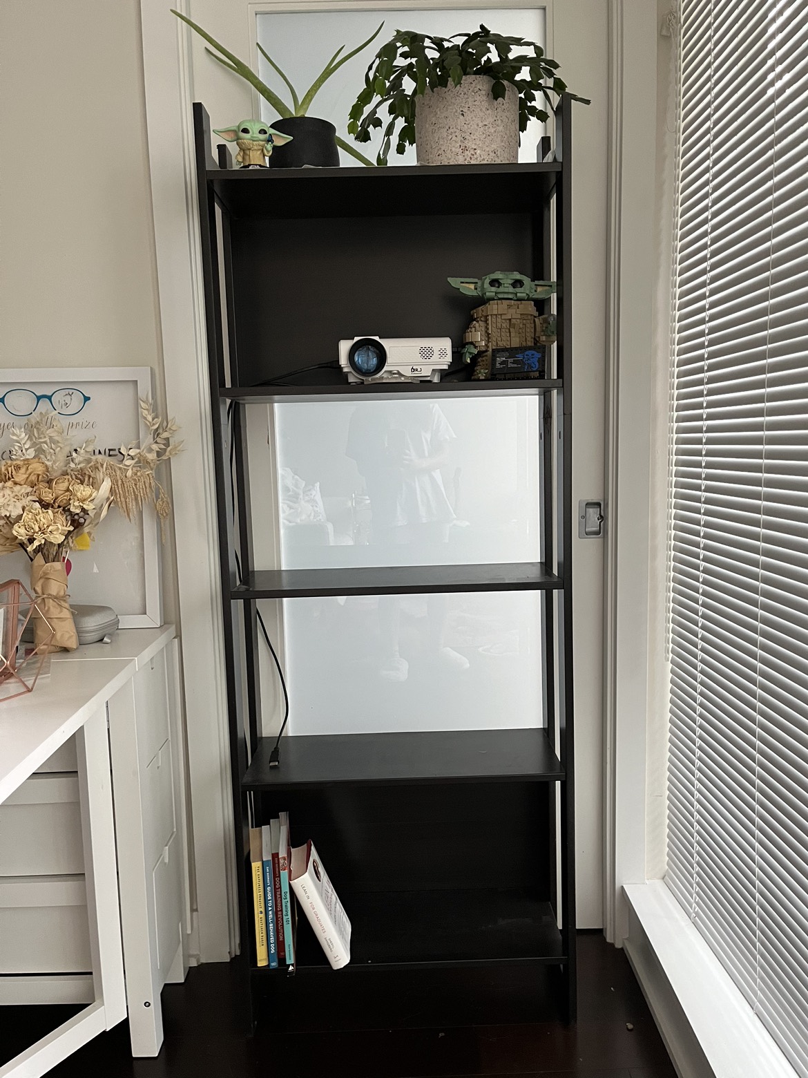 IKEA laiva bookshelf