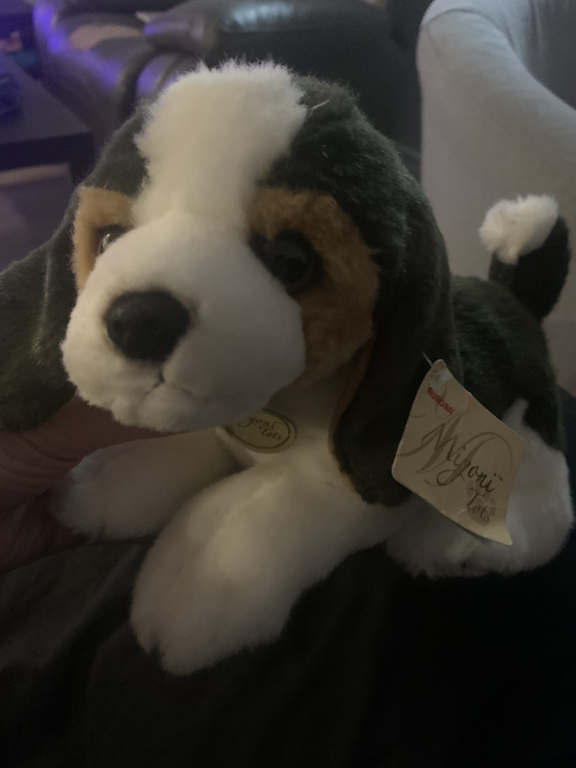 $10 Miyoni  tots beagle plush 7”