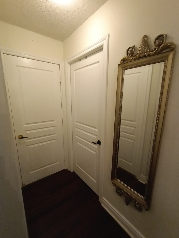 Faux Antique mirror image indicator(3)