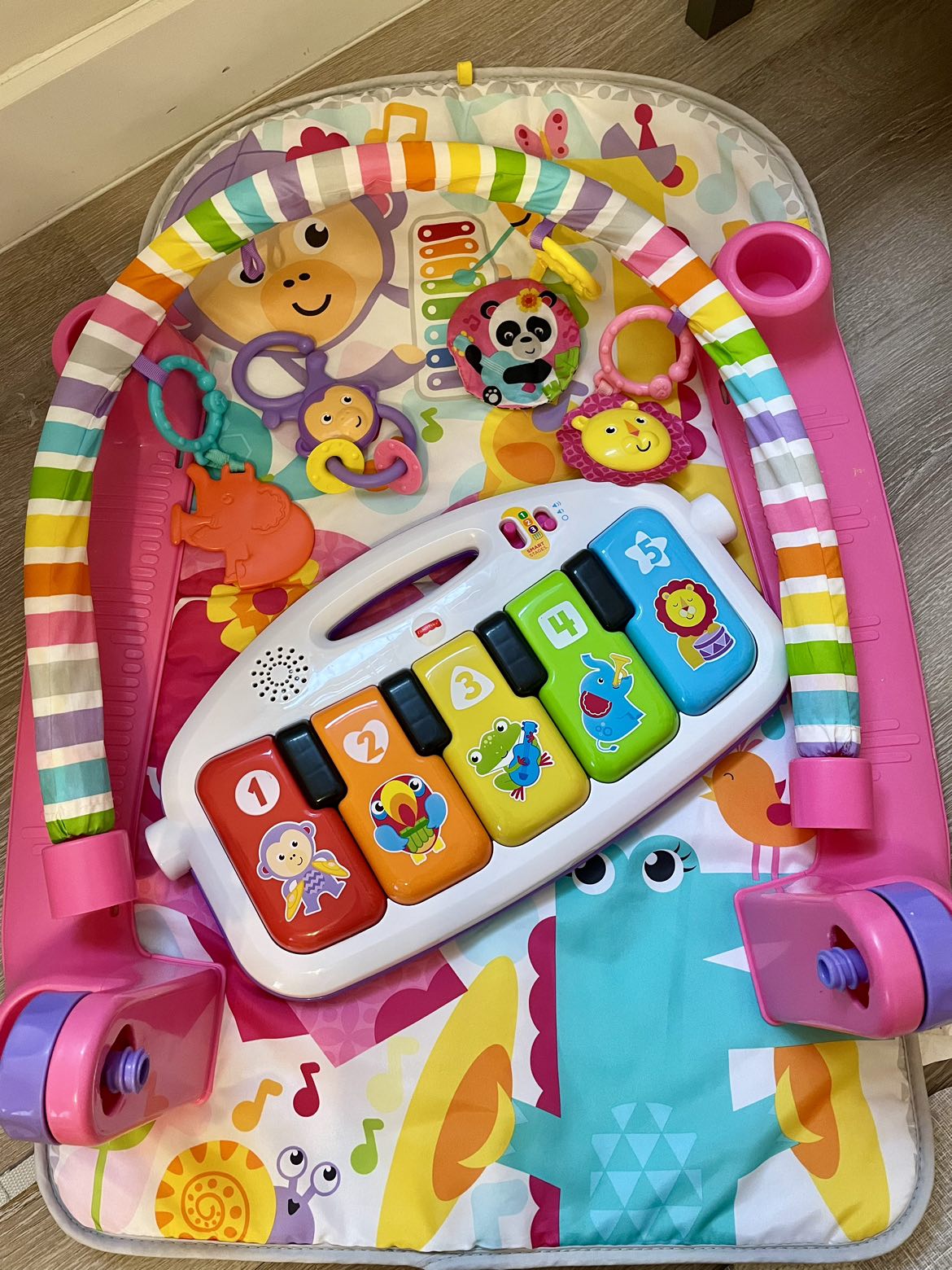 Play Piano Gym & other toys