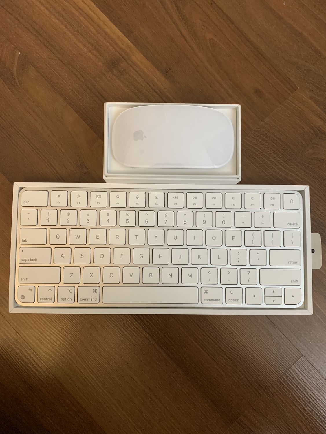 Apple Mouse & Keyboard - photo 2