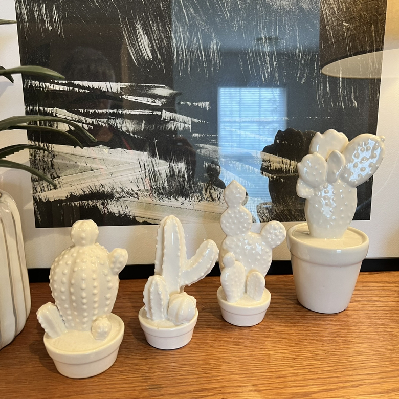 Ceramic Plant Decor Set
