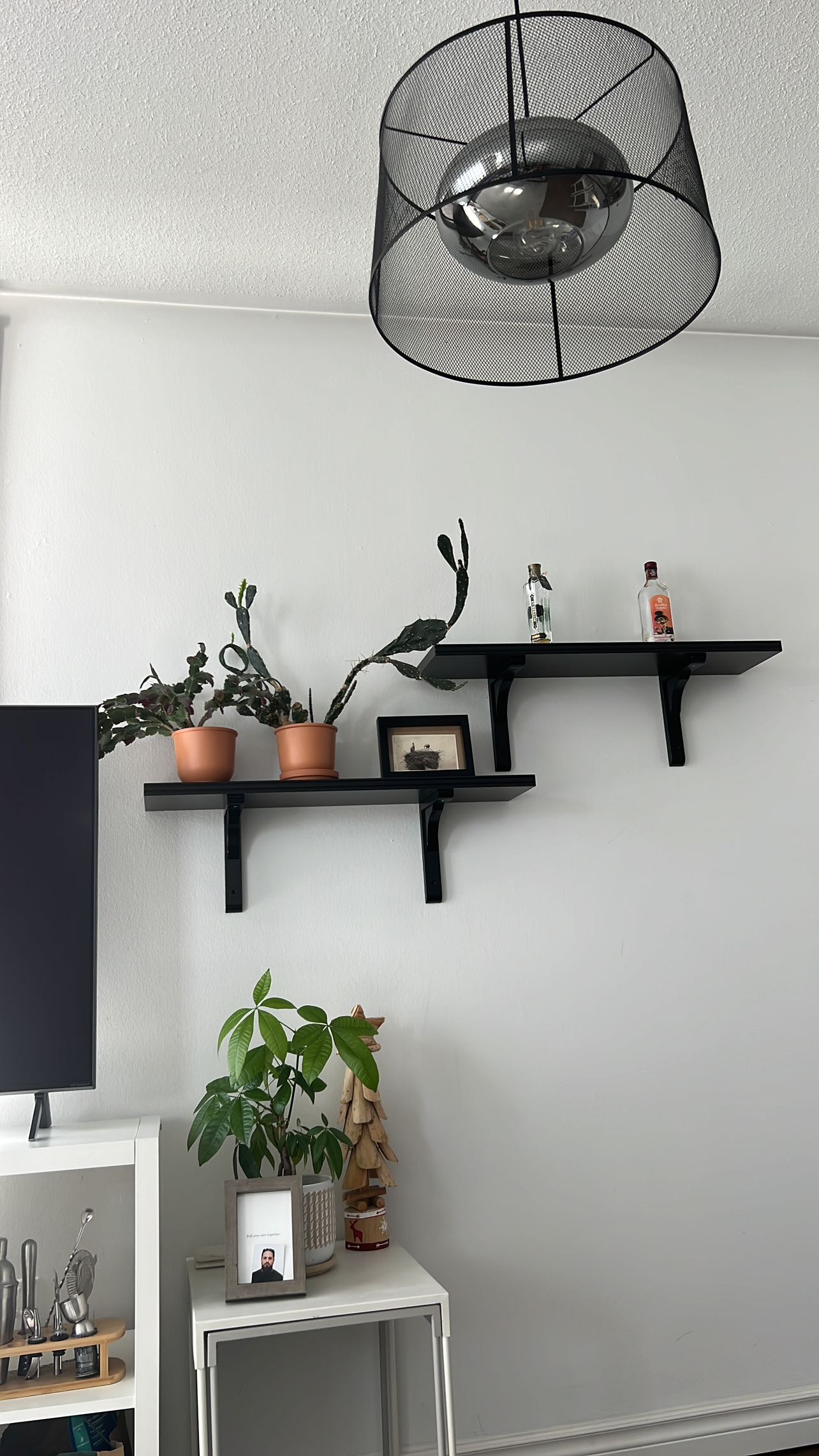 Shelves Pair ikea black brown