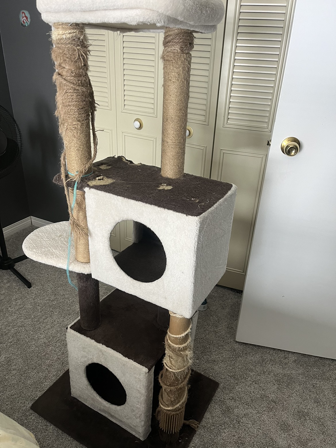 Free Cat Post needs tlc