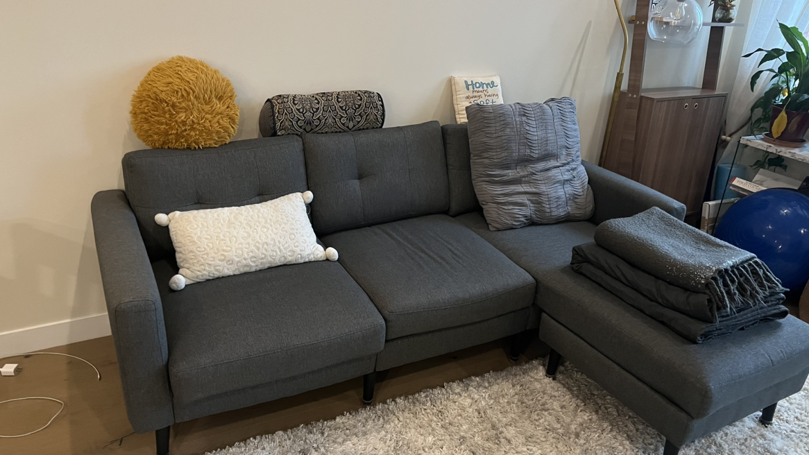 Borrow Couch - photo 2