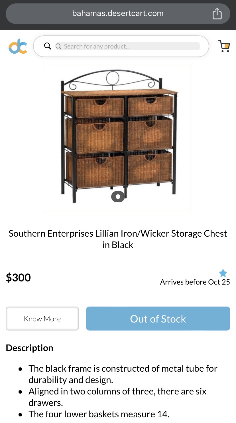 Southern Enterprises Wicker Storage Baskets with Metal Frame - photo 4