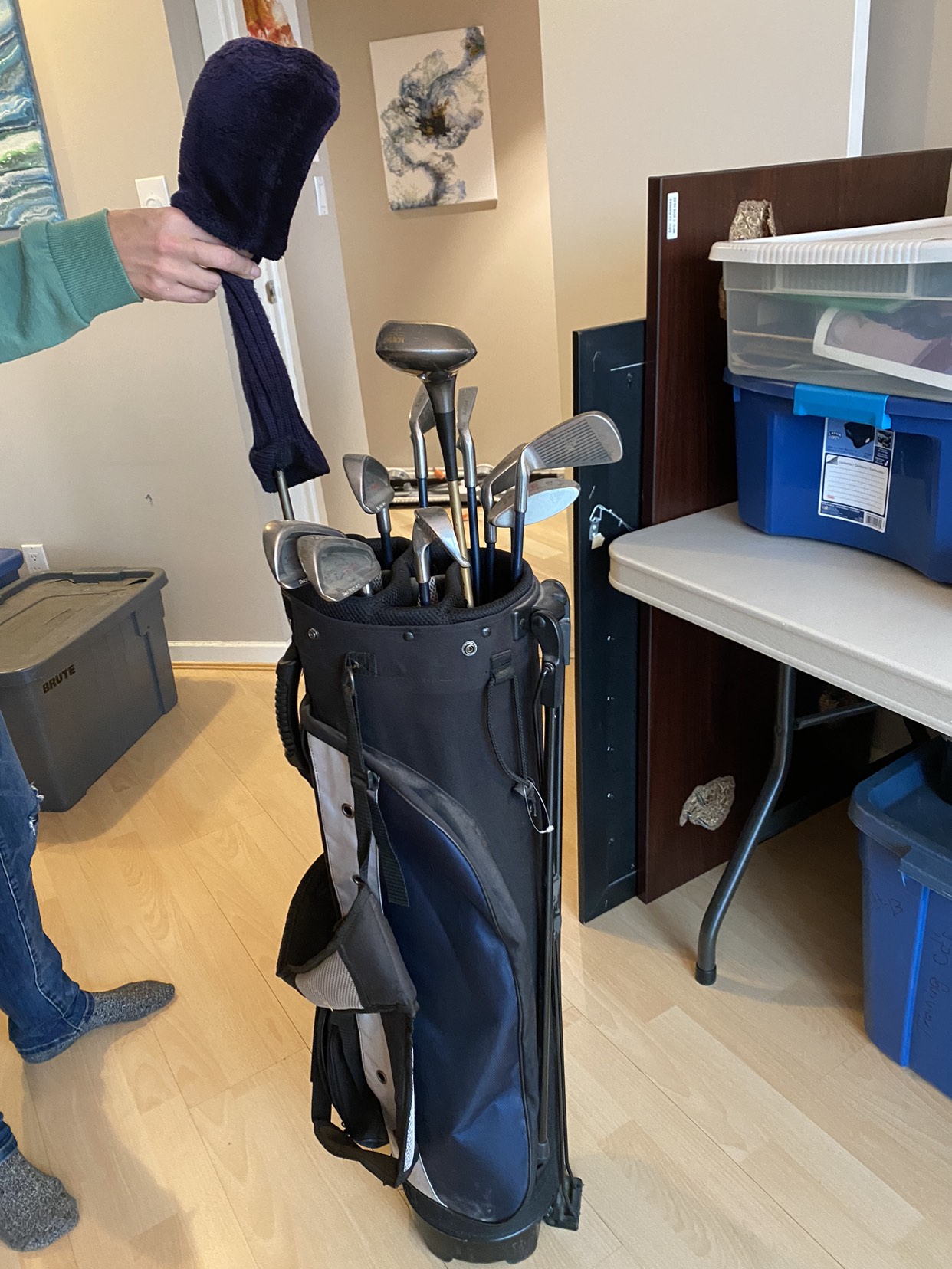 Golf clubs and bag