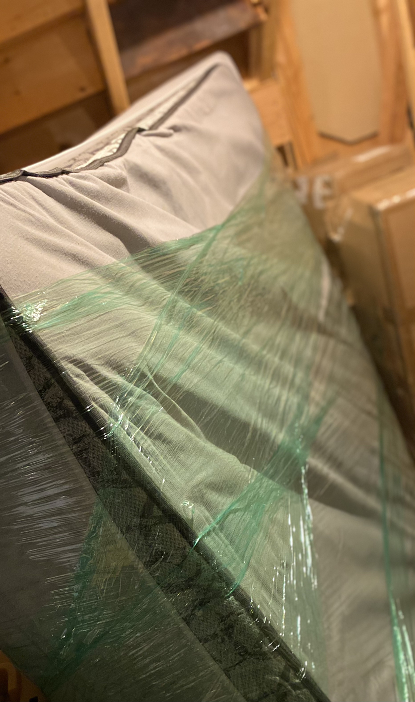 Free Queen Mattress with Protector