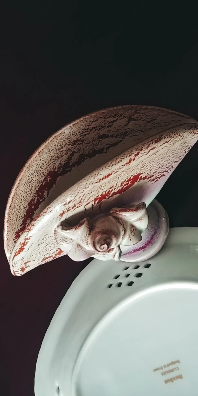 🥕Vintage Italian Napkin Holder/Decor image indicator(5)