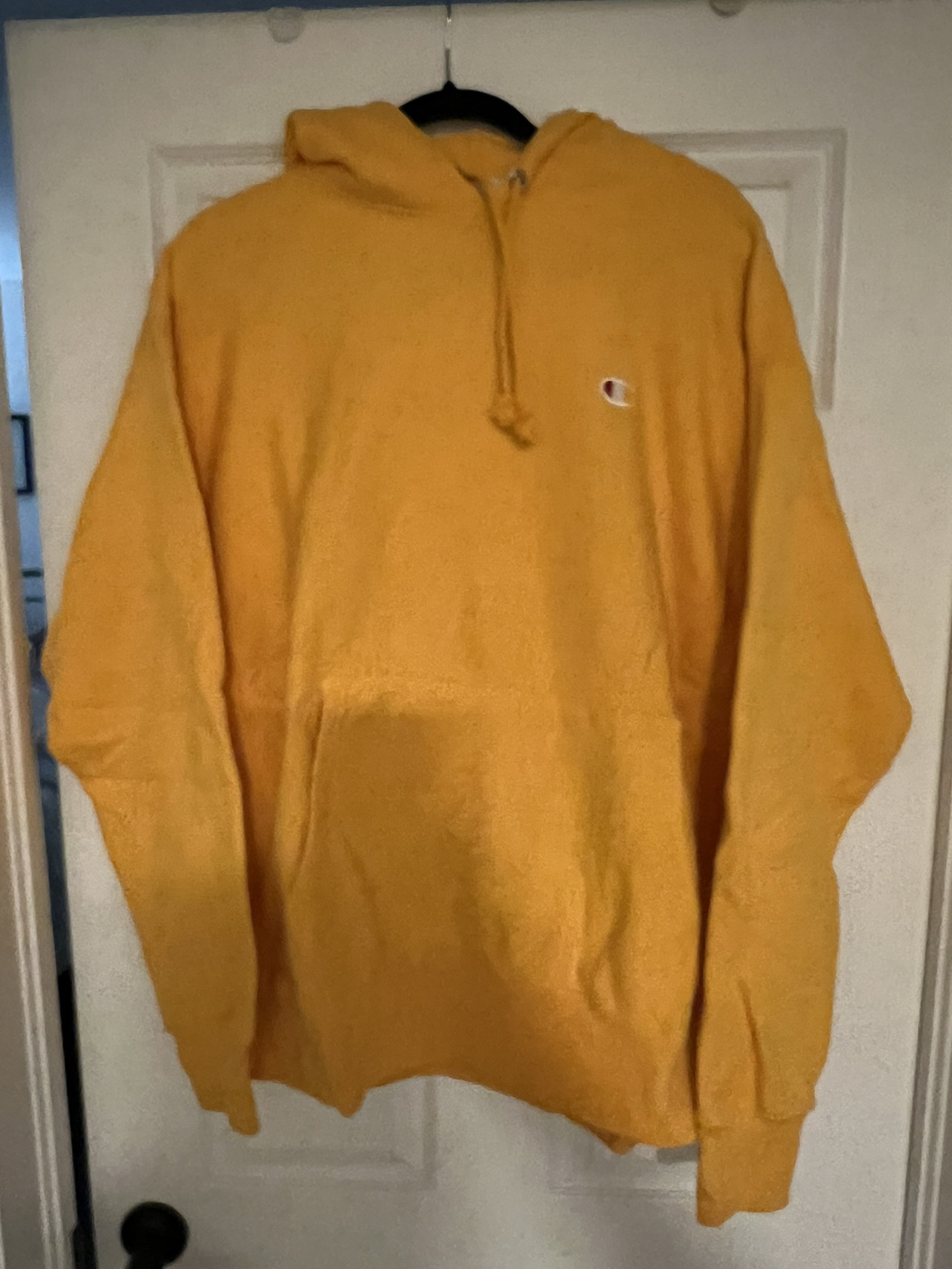 Champion Hoodies