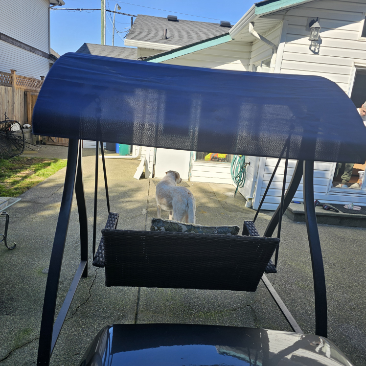 patio  swing - photo 3