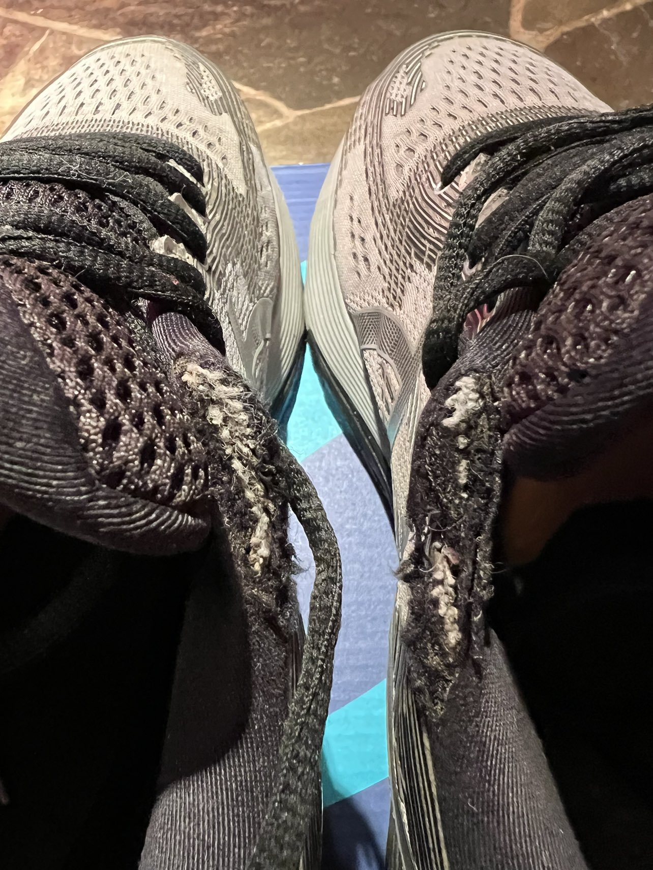 ASICS Gel-Nimbus 21 Platinum Sheet Rock Silver (Men’s 11)(EUC) image indicator(6)