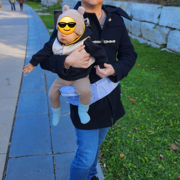 Tushbaby Hip Carrier - Lite
