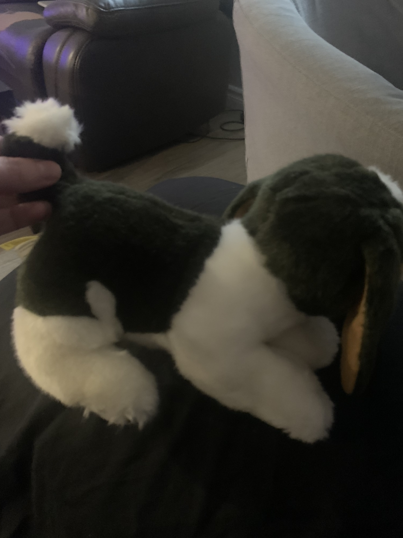 $10 Miyoni  tots beagle plush 7” - photo 5
