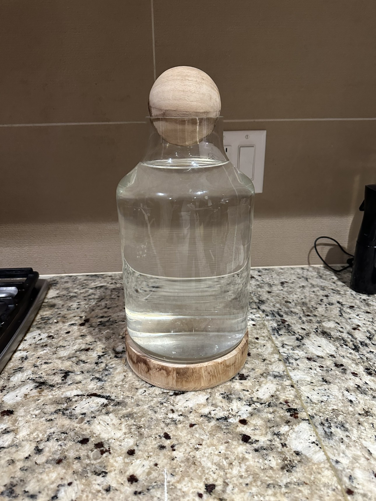 Large Terrarium