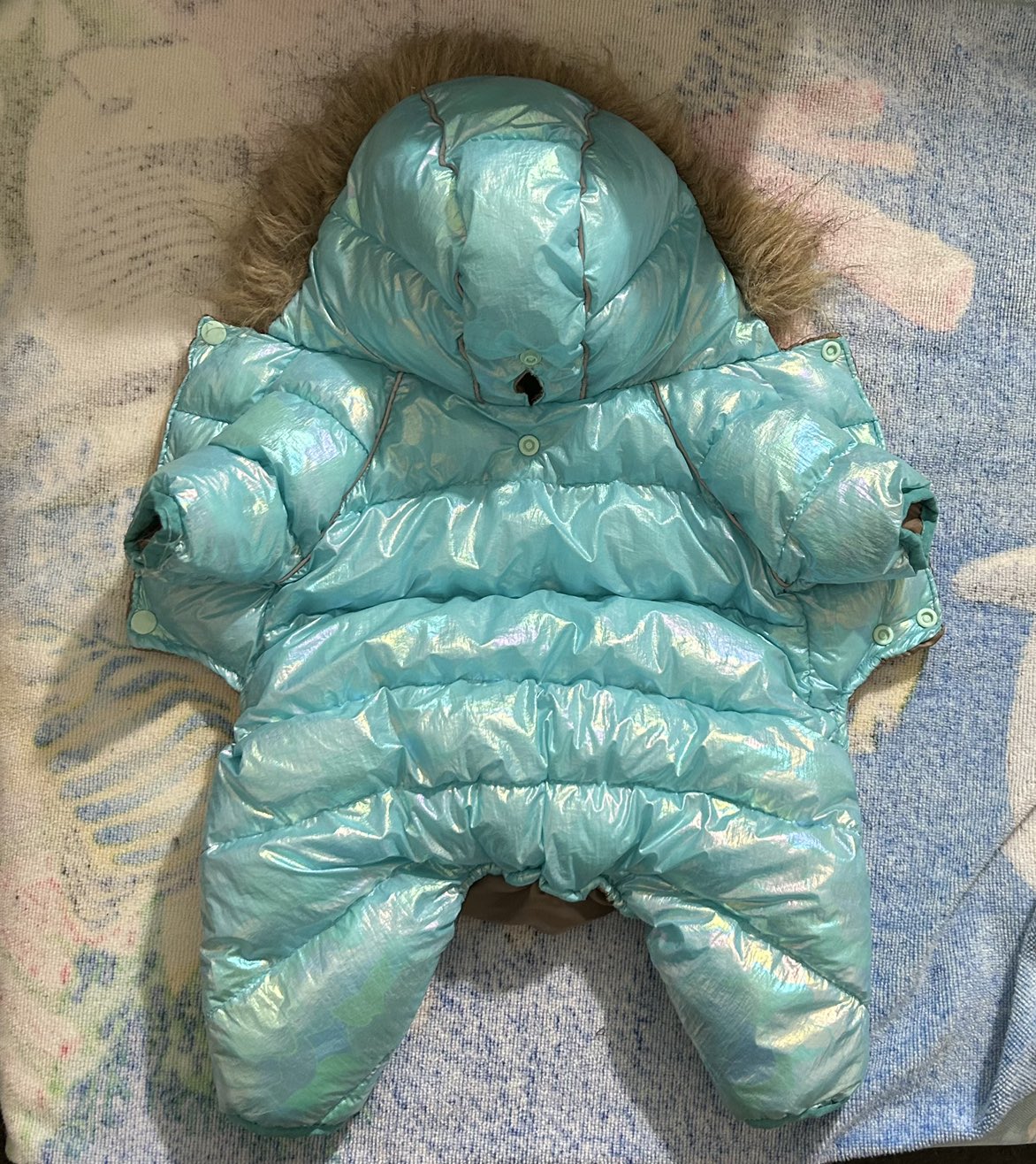 New winter coat for medium sized dog image indicator(4)