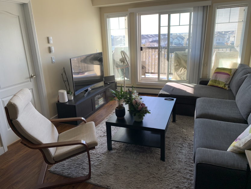 Full Living room furniture + TV - photo 2