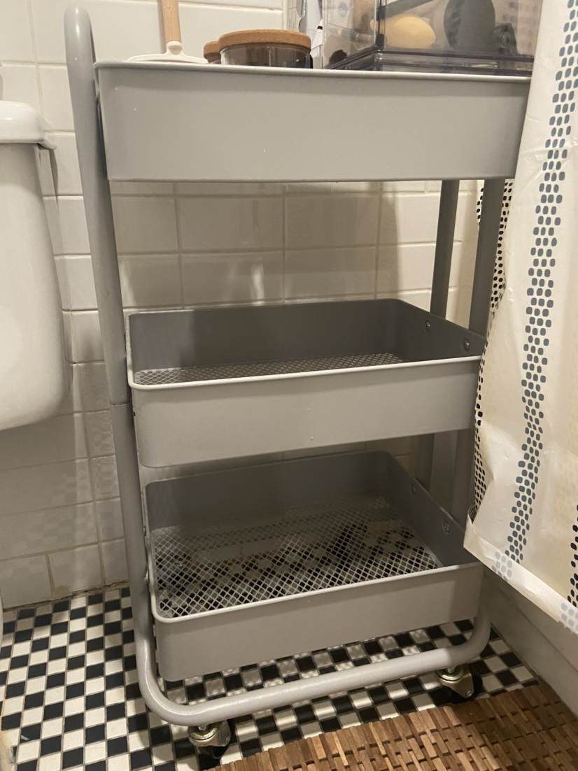 Shelf organizer on wheels