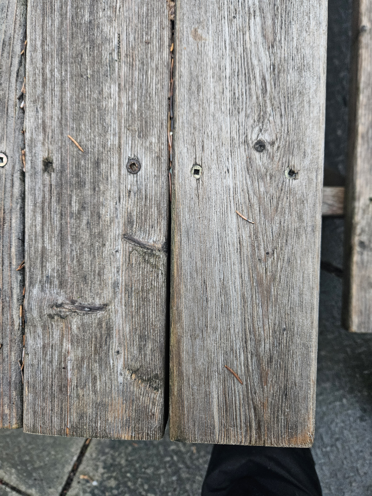 kids picnic table image indicator(2)