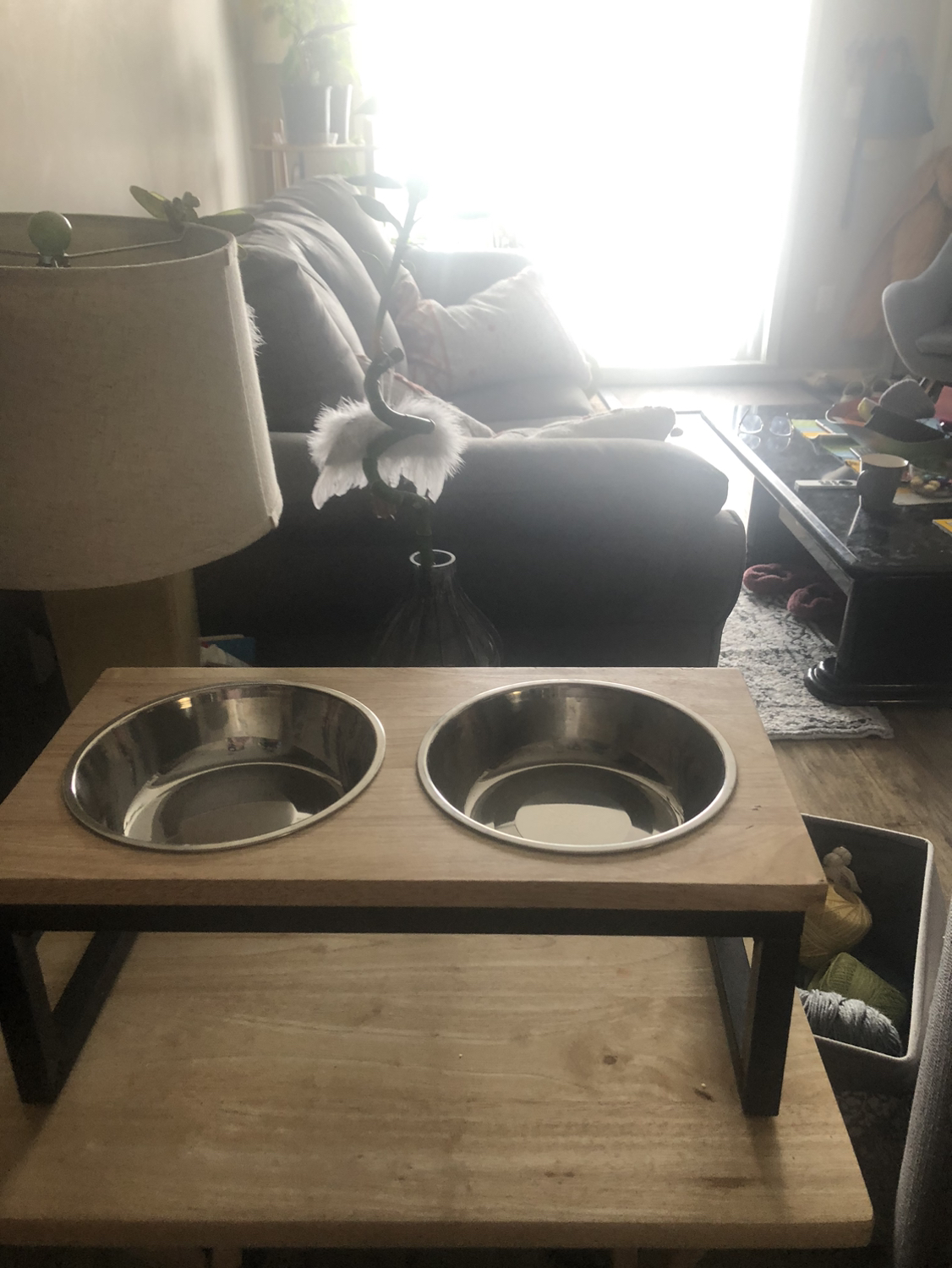 Dog stand with 2 bowls