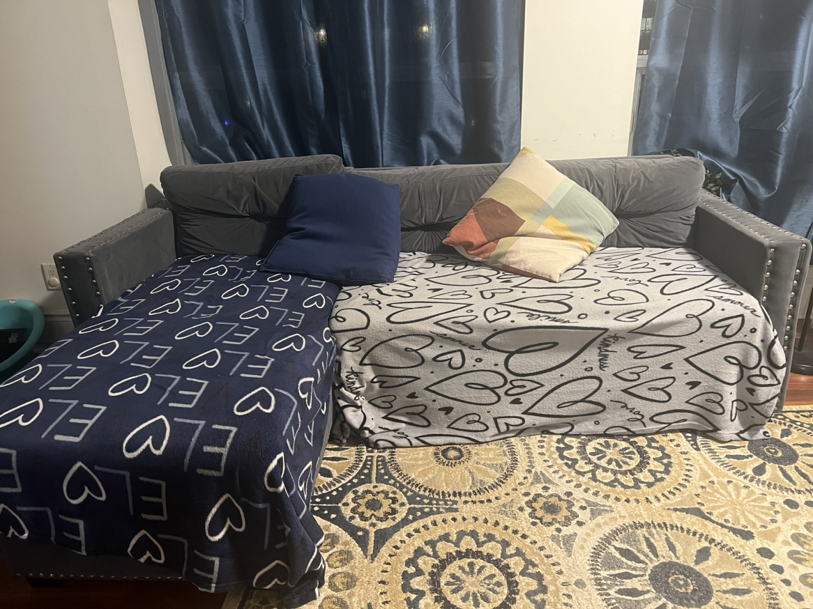 Free Sofa. OK condition. Bed extension broken. - photo 2