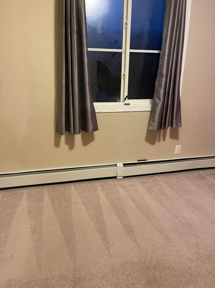 Carpet Steam Cleaning - photo 3