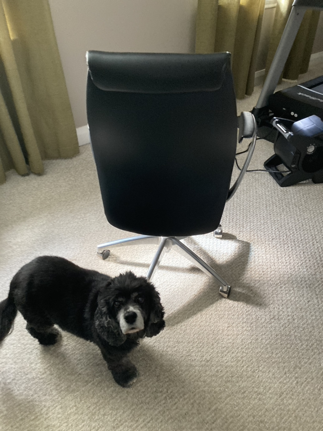 Executive Office Chair - photo 3