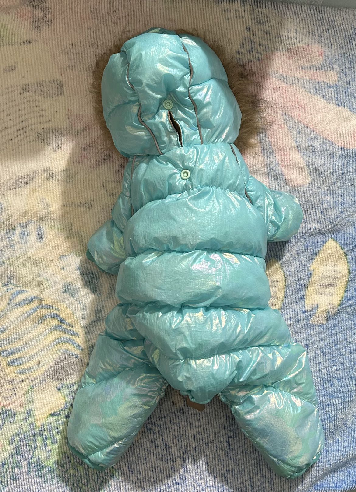 New winter coat for medium sized dog image indicator(5)