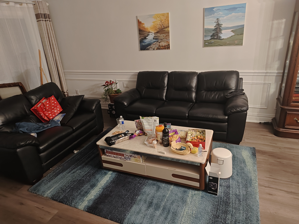 sofa and coffee table - photo 3