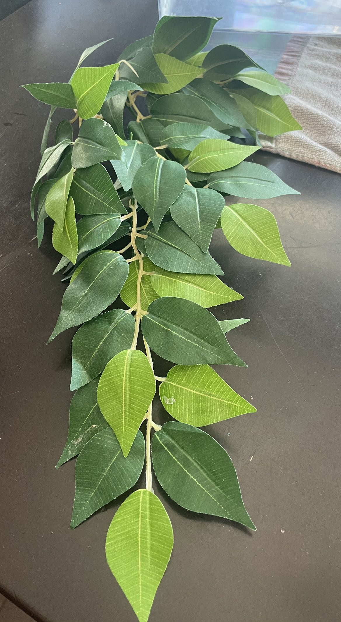 40 gallon terrarium and accessories image indicator(7)