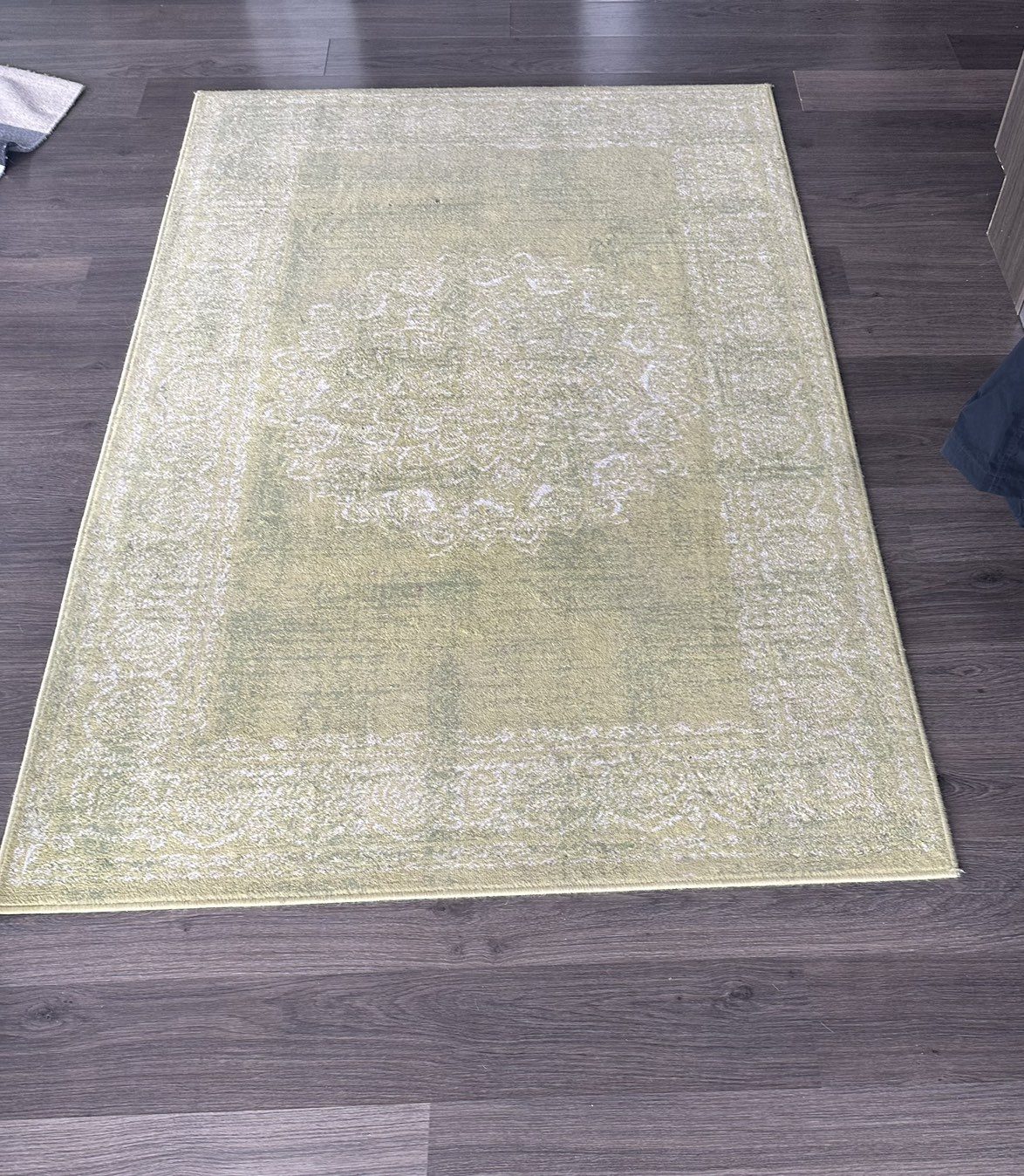 Green Area Rug - 4’ x 6’ thumbnail