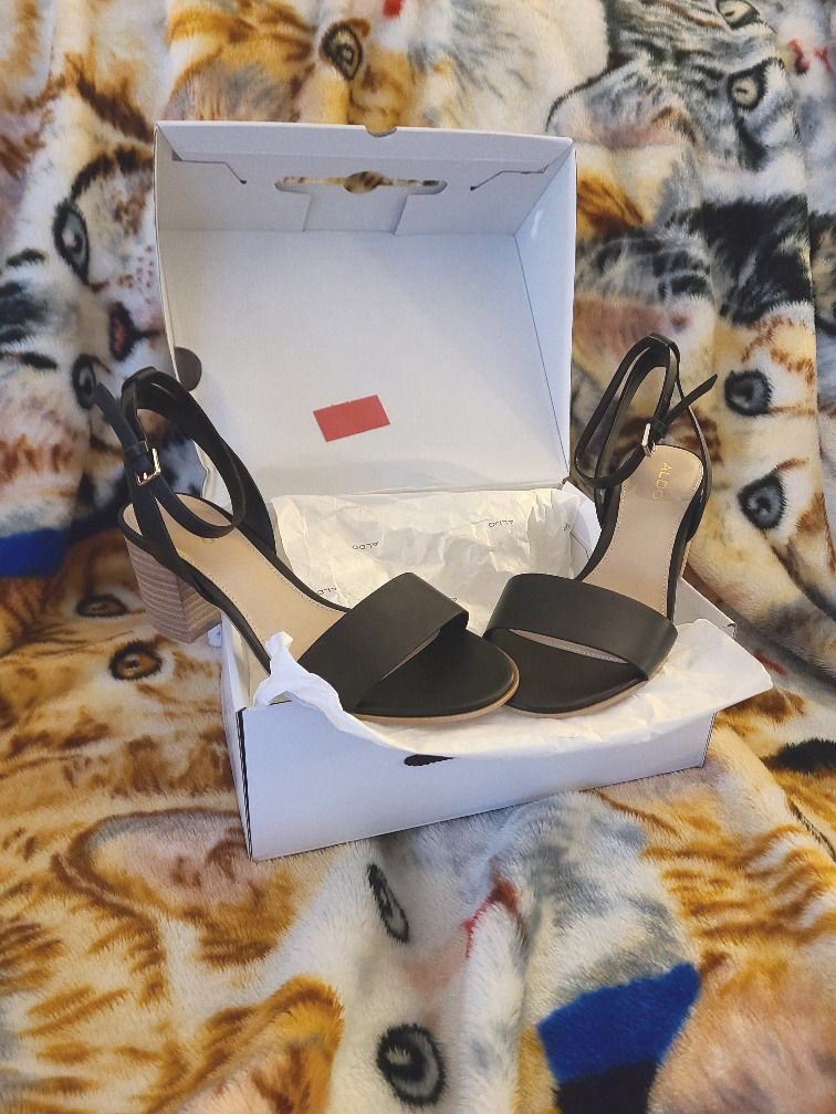 BRAND NEW ALDO LADIE'S Doreclya US Size 6 leather smooth open image indicator(6)