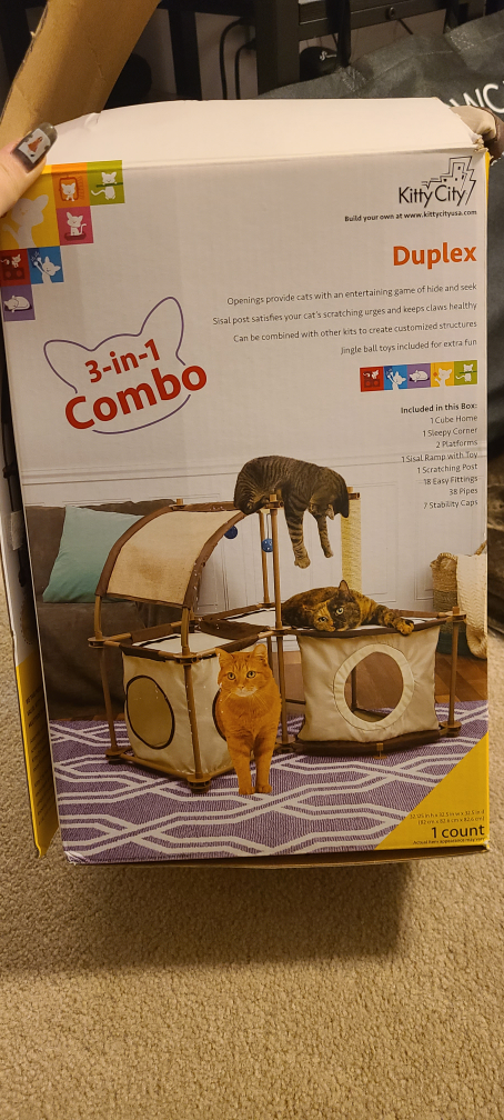 kitty city duplex thumbnail