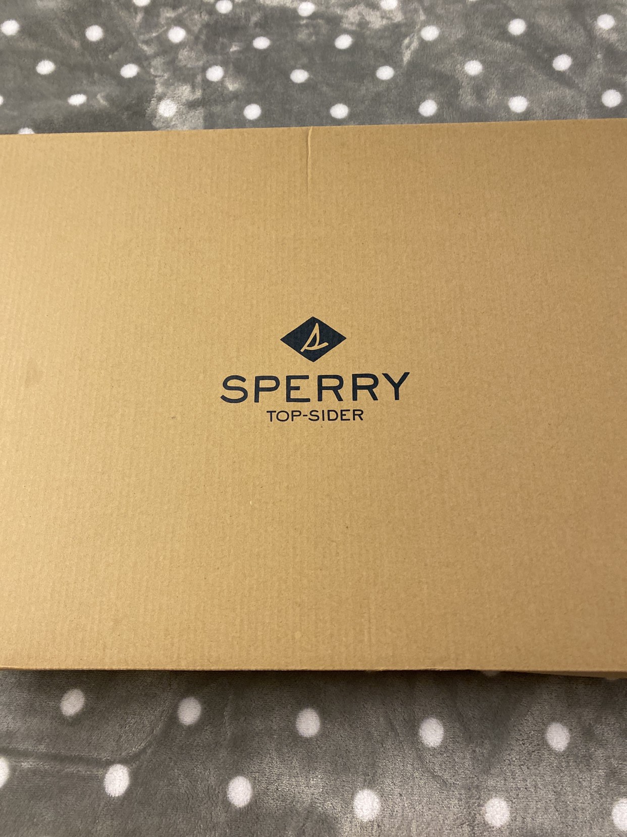 Sperry boots
