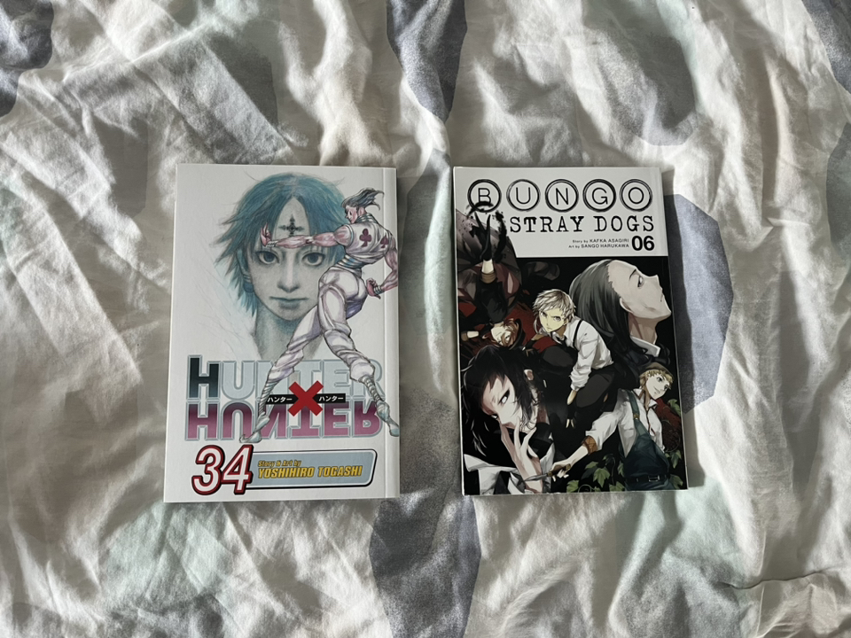 Manga - HunterxHunter and Bungo Stray Dogs