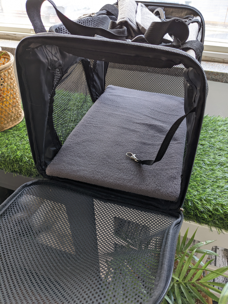 Airline Approved Cat Carrier image indicator(2)