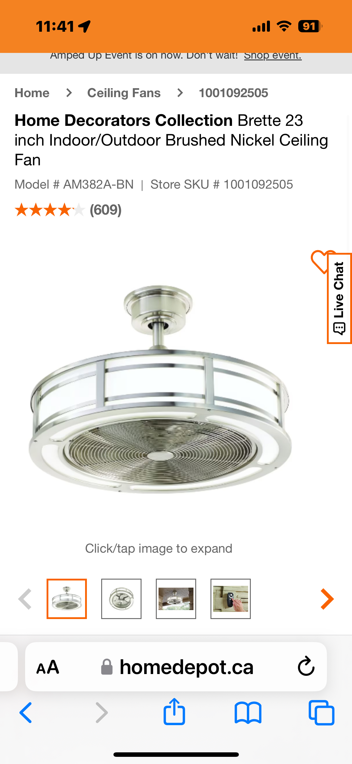 Indoor/Outdoor Fan Light