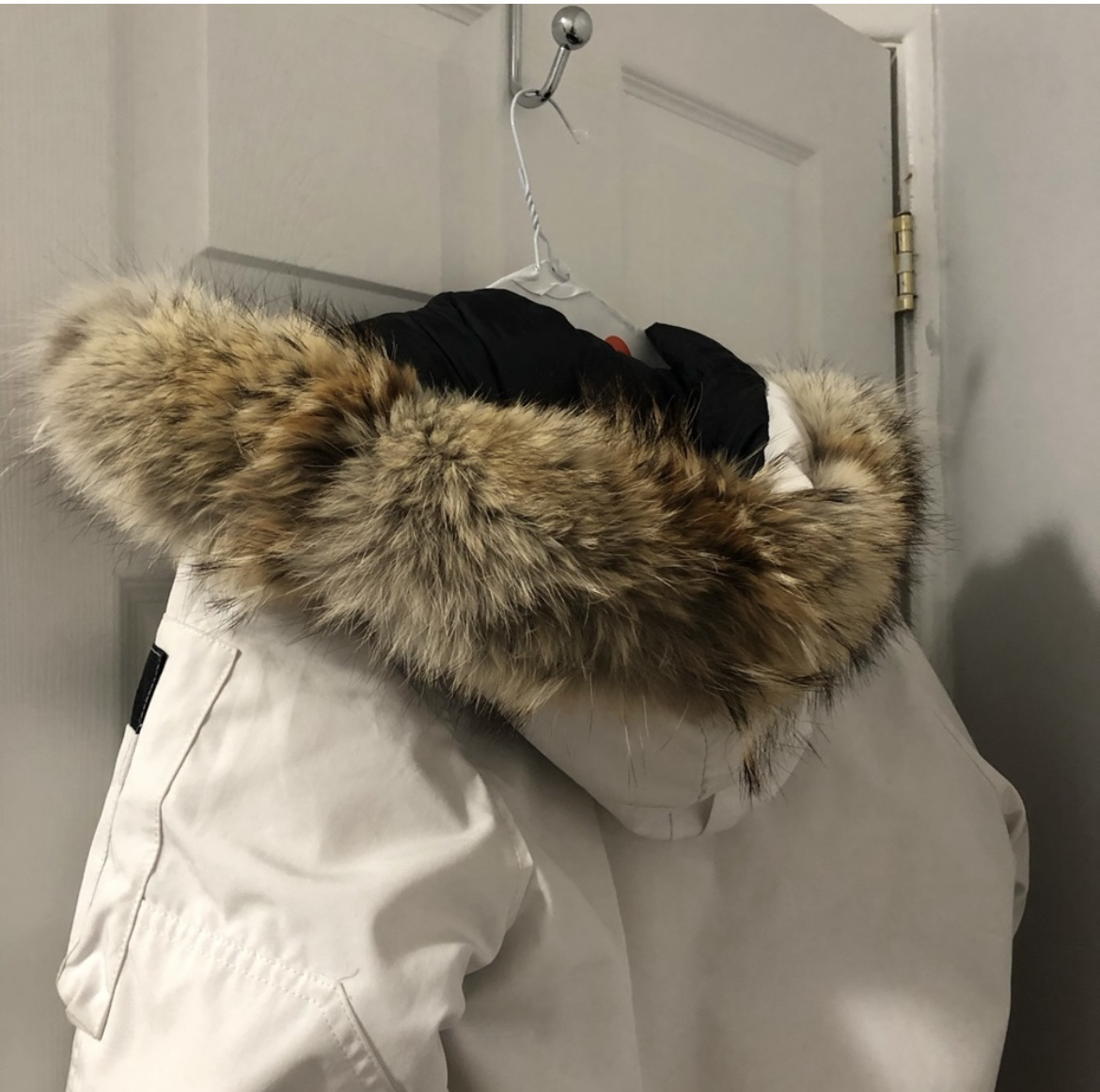 Authentic Canada Goose Chilliwack Bomber Size XS image indicator(3)