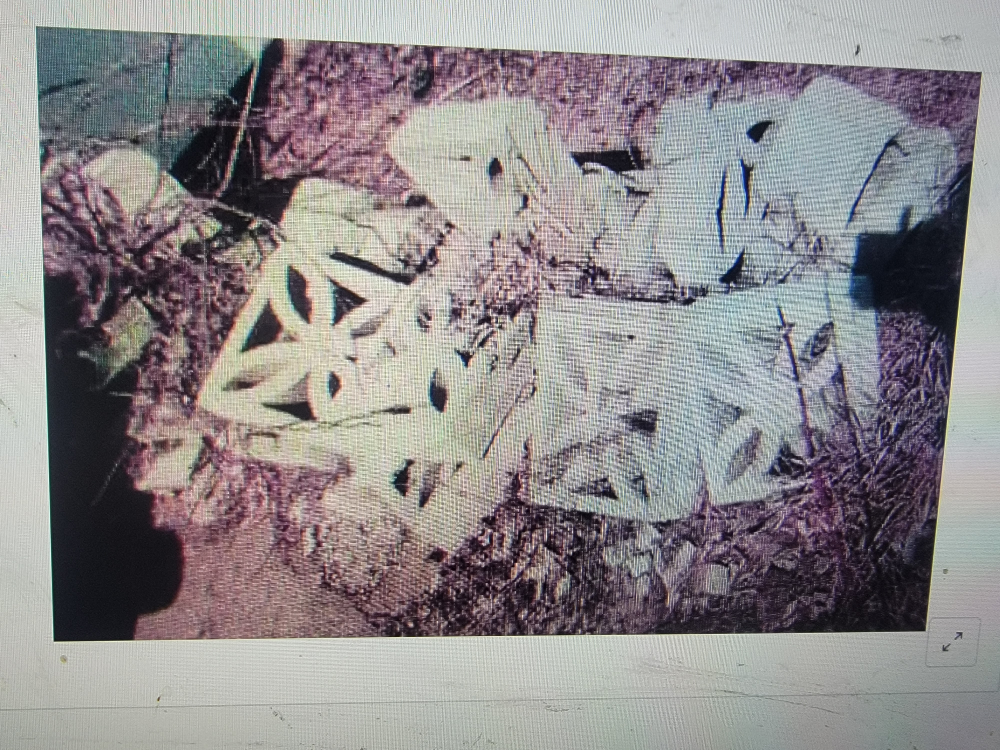 Wanted, Looking for Free Bricks Like These for  project