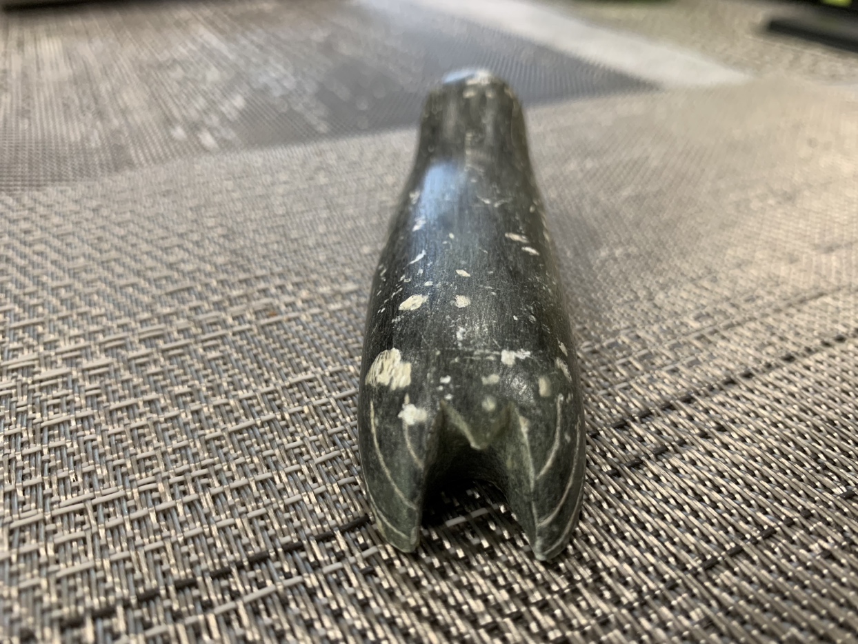 DIMU Seal Soapstone Carving - Signed - Canada - 20th Century image indicator(8)